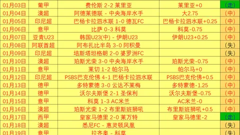 习近平出席哈尔滨亚冬会开幕式并宣布第九届亚冬会盛大开幕